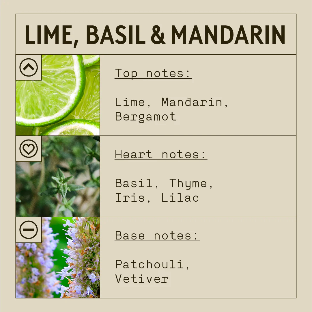 Hand & Body Lotion - Lime, Basil & Mandarin - Image 2